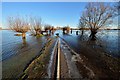 TL2798 : B1040 flooded, Whittlesey by Julian Dowse