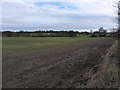 Muddy field near Tiddle Brook