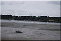 TM1740 : Pond Ooze, River Orwell by N Chadwick