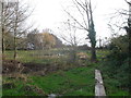 Boardwalk near Great Mollands Farm