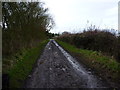 The farm track & bridleway into Meadowley