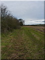 A field-edge path to Upton Cressett