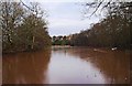 Former mill pond at Hartlebury