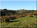 Haytor Down