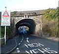 East side of Little Moors Hill railway bridges, Cadoxton