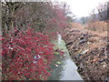 Marfleet Drain alongside the former Withernsea line