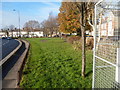 A large grassy triangle, Cadoxton