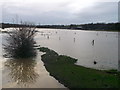 Flooded Paddock near Mar Dyke