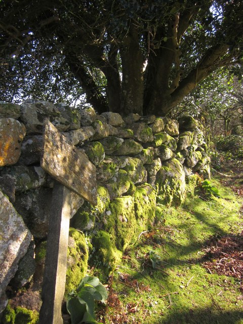 Dry stone wall, Lustleigh Cleave