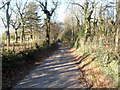 Central section of Ty Coch Lane, Llantarnam