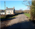 Northern edge of the trees alongside Ty Coch Lane, Llantarnam