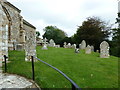 St Mary, Litton Cheney: churchyard (c)