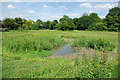 Pond near Beam Brook