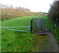 Footpath to a children