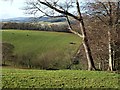 Farmland at Broomhill, Selkirk