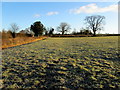 Countryside beside Rimington Lane