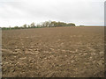 SU6056 : Deep ploughed field - Rookery Farm by ad acta