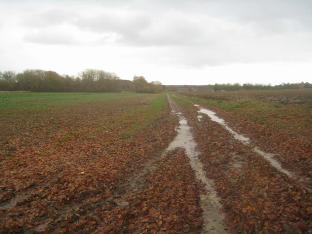 Track to Rookery Farm