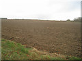 SU6056 : Farmland west of chalk pit by ad acta