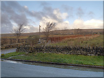 SD7115 : Path to New Butterworth's Farm, Egerton by David Dixon
