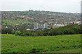 View towards Brighton Racecourse