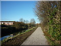 Barnston Drain, Hull