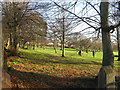 Trees at the north end of Buckingham Park