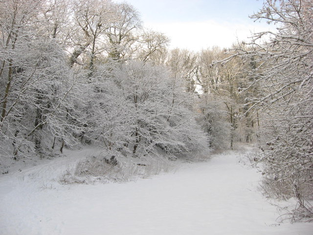 Snow in Manor Vale