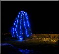 NU0616 : 'Christmas Lights' at Powburn by David Clark