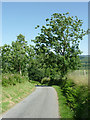 Lane to Betws Bledrws, Ceredigion