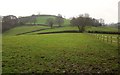 Farmland near Scruel Barton