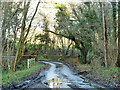 Bridge over stream near Brown