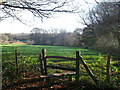 Stile and footpath to Willard