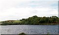 B7900 : Toome Lough from the N56 by Eric Jones