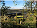 Footpath leading North from Great Todber