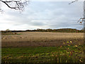 Burstead Farmland