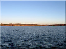TQ5307 : Arlington Reservoir by Simon Carey