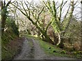 The Gower Way at Reynoldston