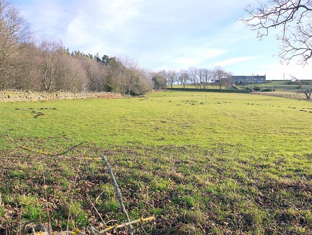 Viewley Farm © Andrew Curtis :: Geograph Britain and Ireland