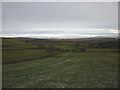 Pasture above Sunbiggin Farm