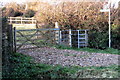 Footpath to the wood