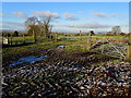 Series of Gates at Ox Close Farm