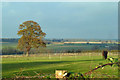 View over the Chelmer valley