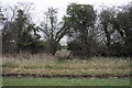 Stile in hedge for footpath across fields