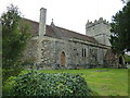 Church of the Holy Rood, Wool: ivy covered tomb