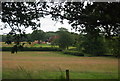 View towards High Billingshurst Farm