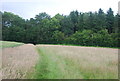 Bridleway to High Loxley Furze