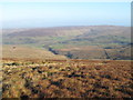NY6648 : Whitley Common and the valley of Thornhope Burn by Mike Quinn