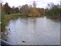 River Leam View