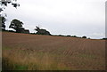 Farmland by Nacton Rd